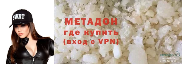 прущие грибы Богородицк