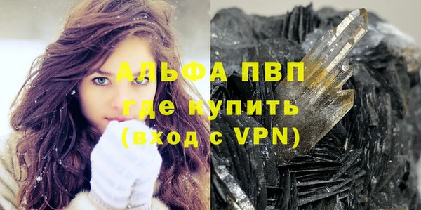 прущие грибы Богородицк