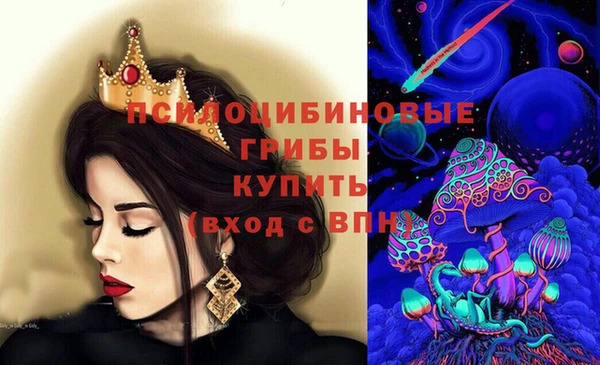 apvp Богородск