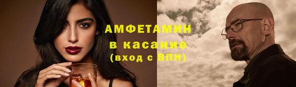 прущие грибы Богородицк