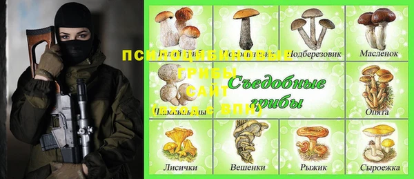 прущие грибы Богородицк