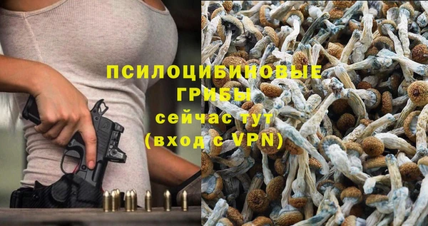 ALPHA-PVP Богданович