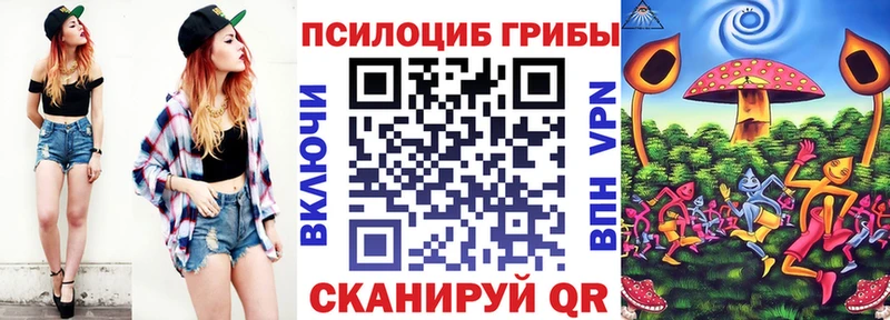 Псилоцибиновые грибы Psilocybine cubensis  Купить закладки  Шебекино 